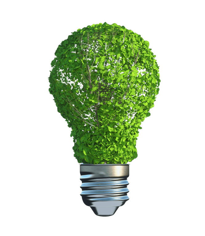 images of leaves shaped in light bulb.