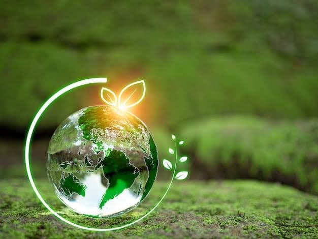 ecoorbit service image